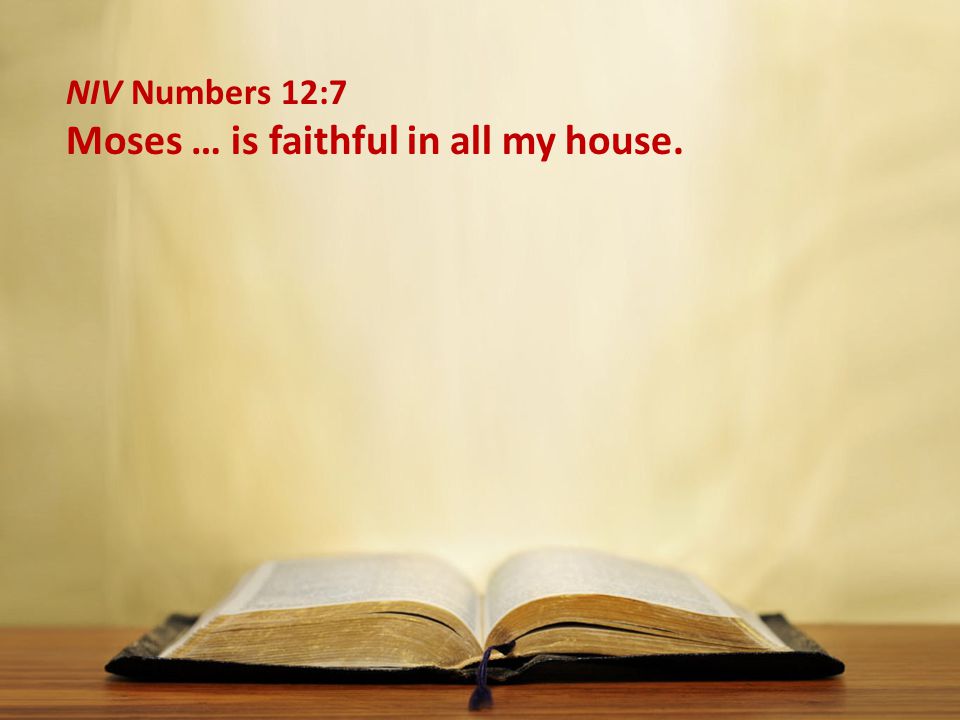NIV Numbers 12:7 Moses … is faithful in all my house.
