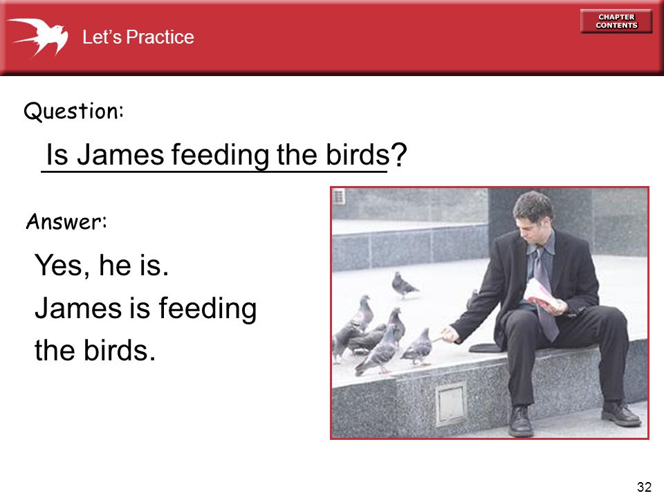 32 _____________________ Yes, he is. James is feeding the birds.