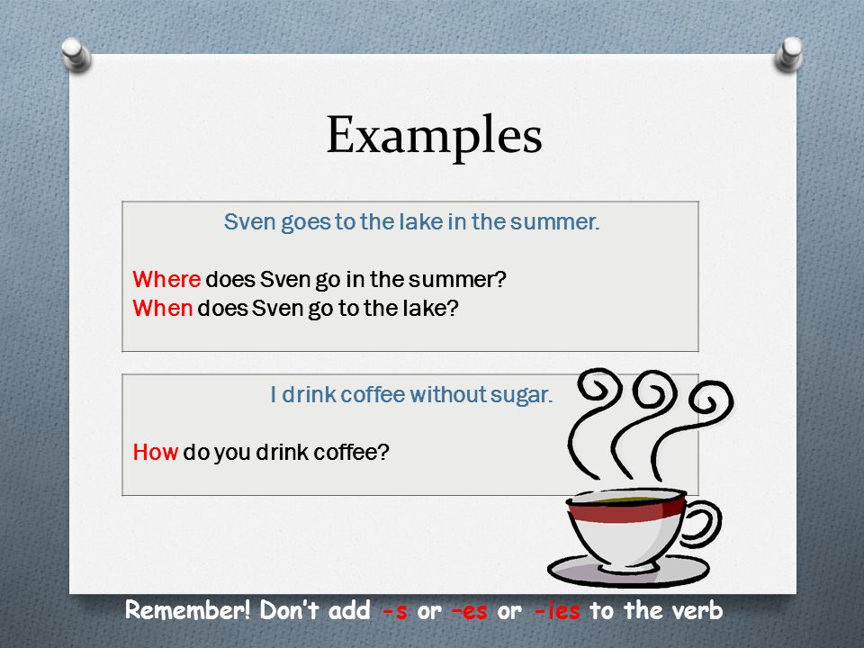 Examples Remember. Don’t add -s or –es or -ies to the verb Sven goes to the lake in the summer.
