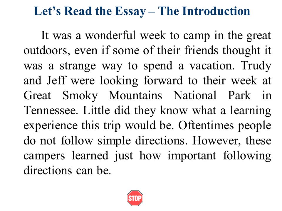 Defnition essay on family picnic