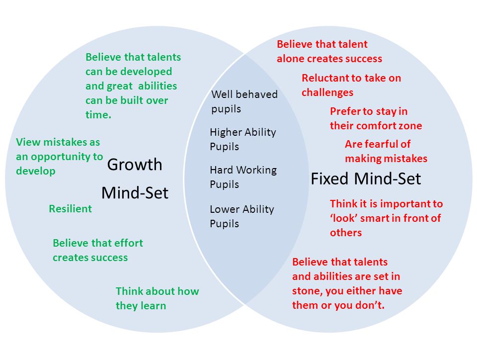Growth Mind-Set Fixed Mind-Set View mistakes as an opportunity to develop Think about how they learn Higher Ability Pupils Hard Working Pupils Believe that effort creates success Resilient Believe that talents can be developed and great abilities can be built over time.