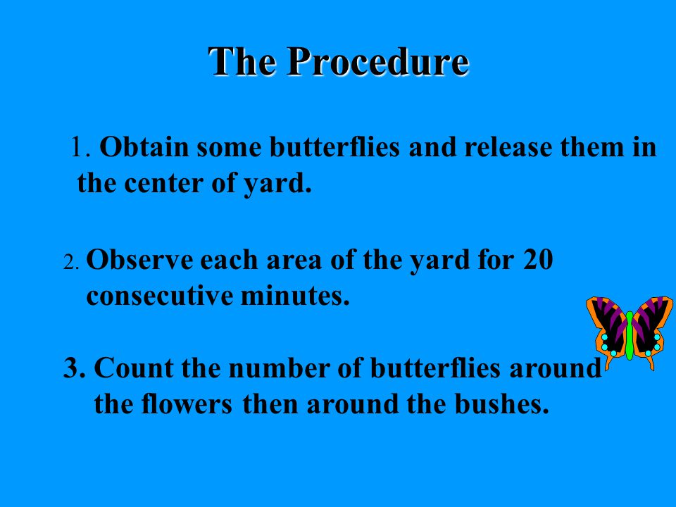 # 4 WRITE DOWN THE PROCEDURES List the procedures that test your hypothesis