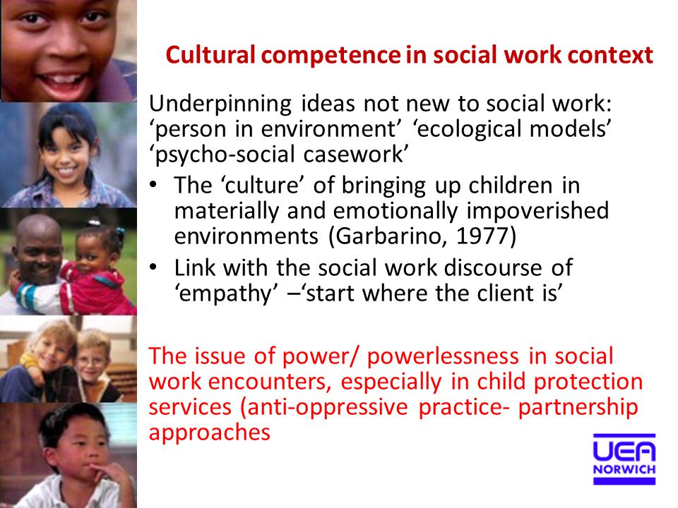 Cultural Analysis Essay