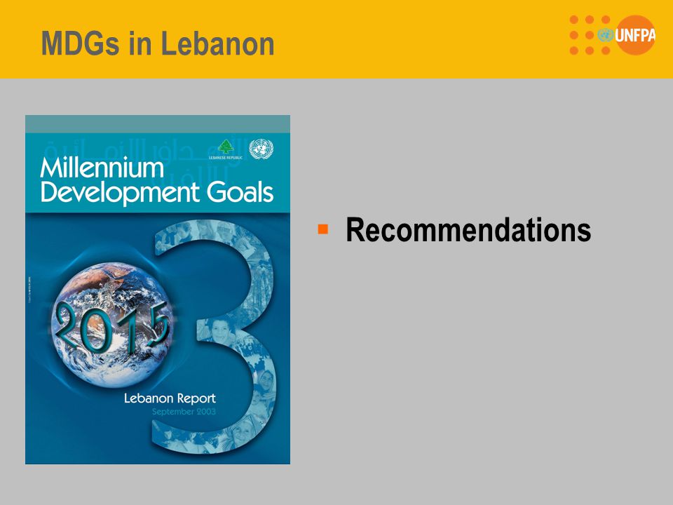 MDGs in Lebanon  Recommendations