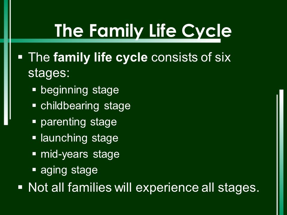 Essay About The Family