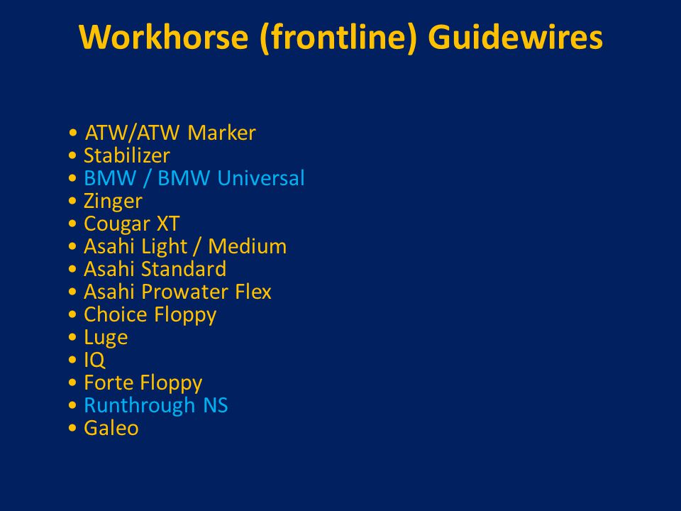 Guidant bmw wire #6