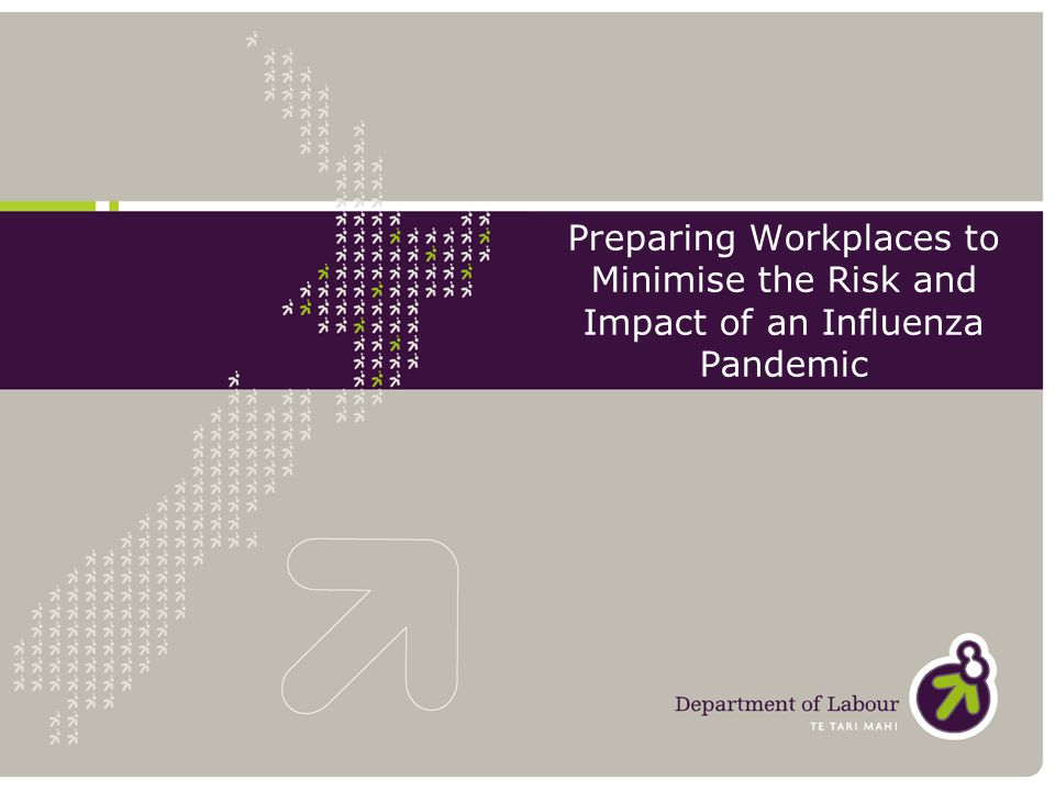 Preparing Workplaces to Minimise the Risk and Impact of an Influenza Pandemic
