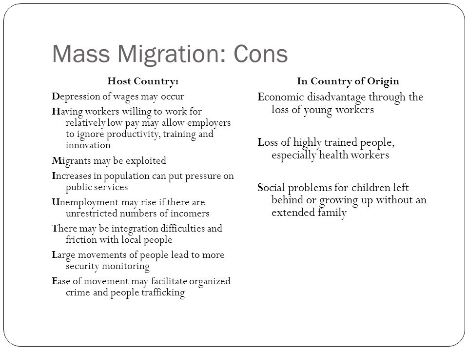 pro immigration policy essay pro immigration policy essay