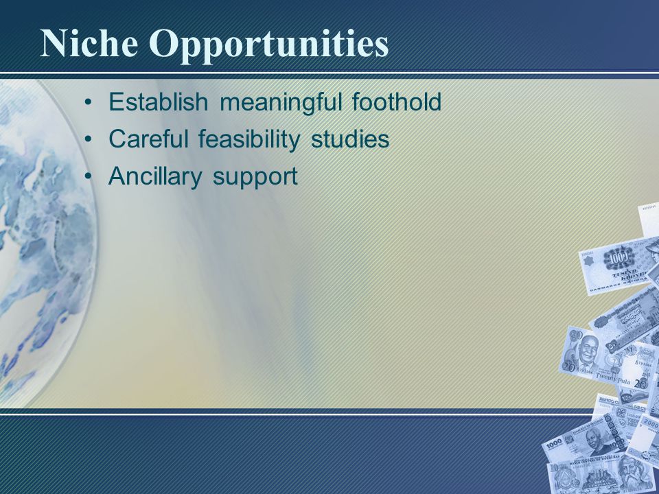 Niche Opportunities Establish meaningful foothold Careful feasibility studies Ancillary support