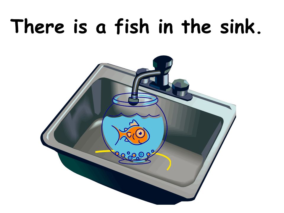 There is a fish in the sink.
