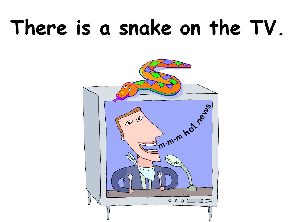 There is a snake on the TV.