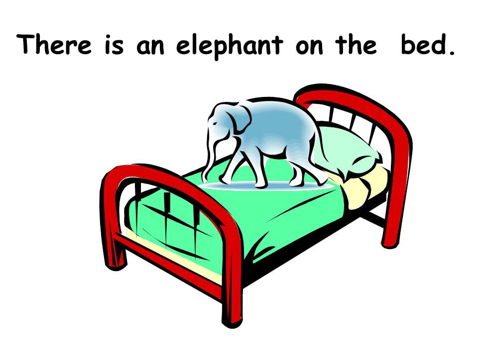 There is an elephant on the bed.