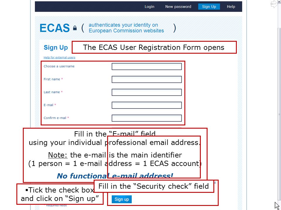 NEXT The ECAS User Registration Form opens Fill in the  field using your individual professional  address.