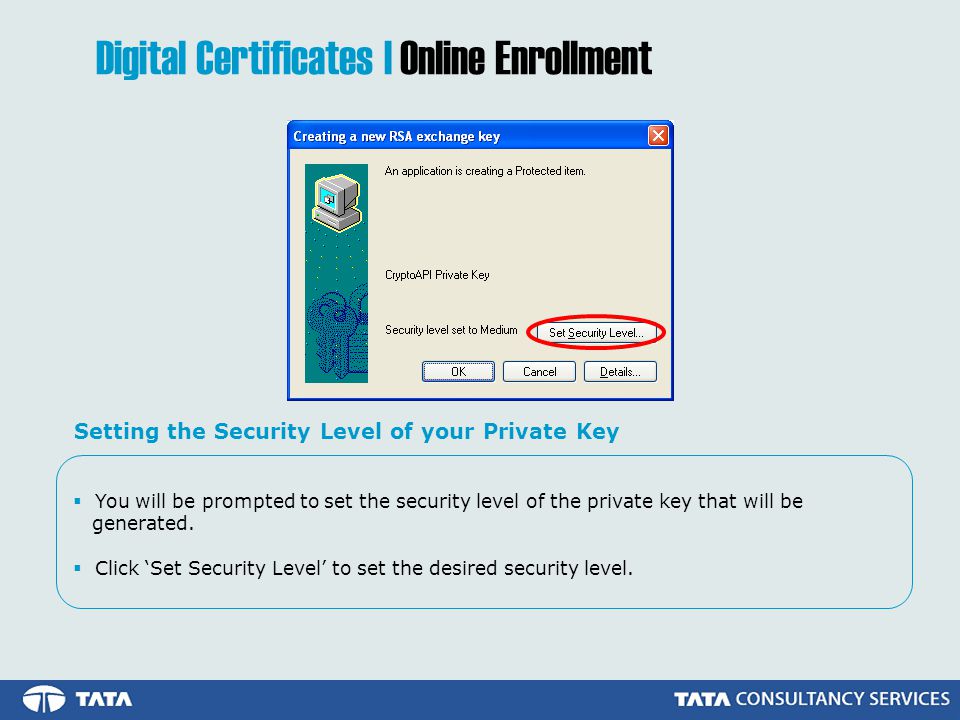  You will be prompted to set the security level of the private key that will be generated.