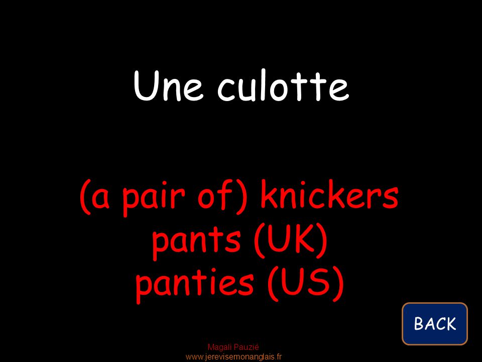 Magali Pauzié   (a pair of) knickers pants (UK) panties (US) Une culotte BACK