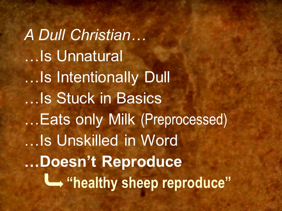 A Dull Christian… …Is Unnatural …Is Intentionally Dull …Is Stuck in Basics …Eats only Milk (Preprocessed) …Is Unskilled in Word …Doesn’t Reproduce healthy sheep reproduce