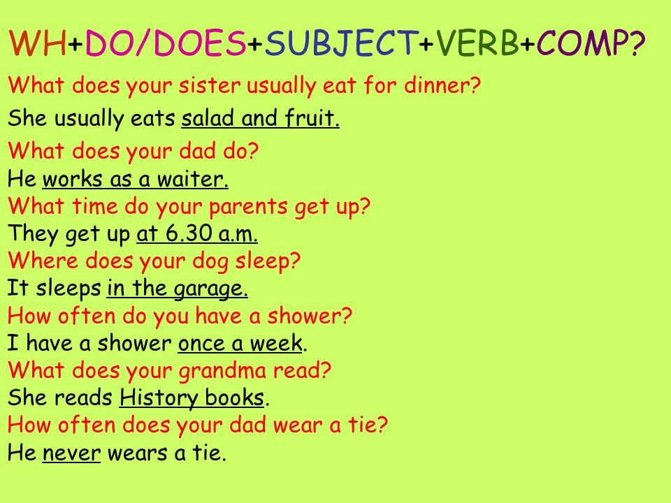 WH+DO/DOES+SUBJECT+VERB+COMP. What does your sister usually eat for dinner.