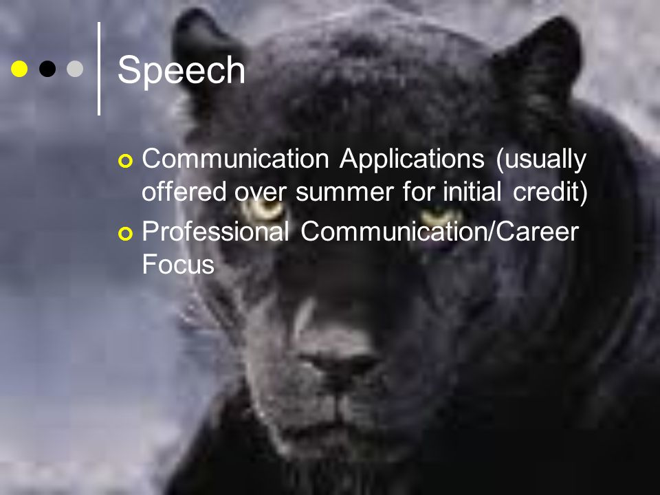Speech Communication Applications (usually offered over summer for initial credit) Professional Communication/Career Focus