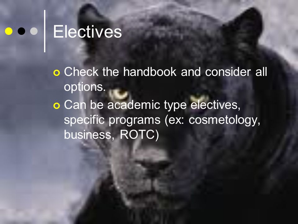 Electives Check the handbook and consider all options.
