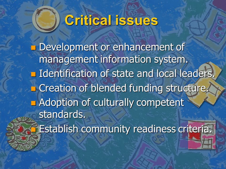 Critical issues n Development or enhancement of management information system.