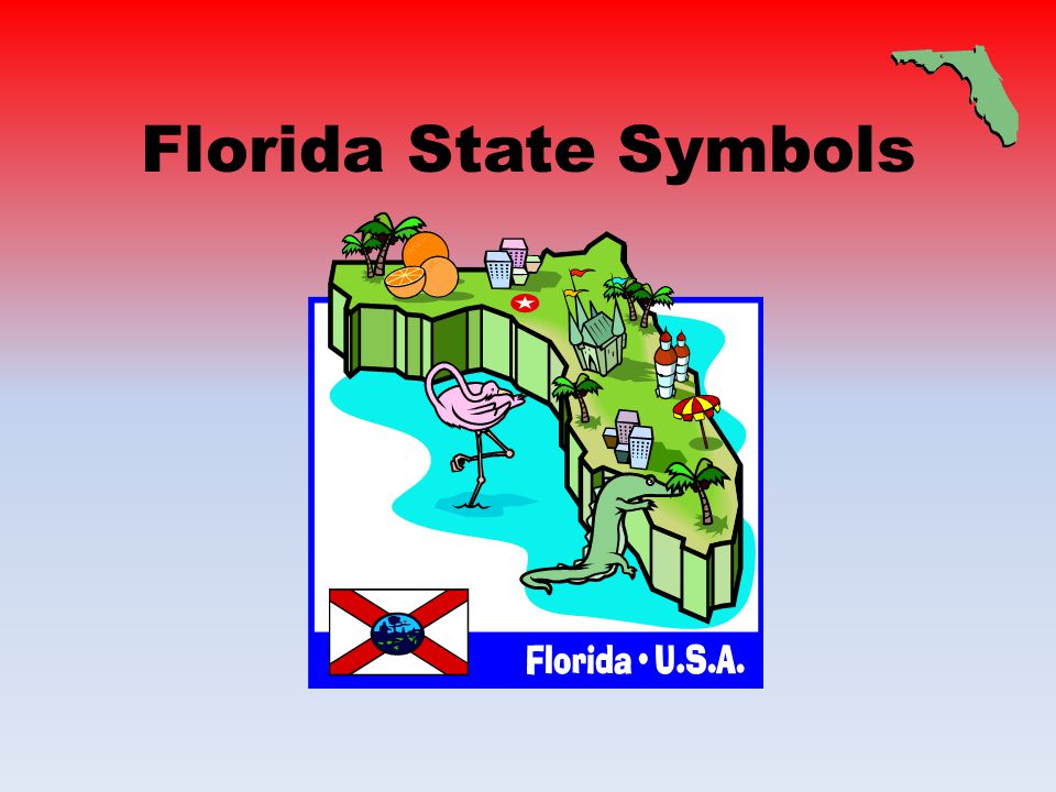 Florida State Symbols