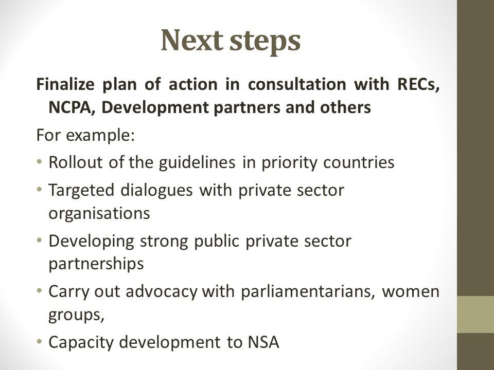 Next steps Finalize plan of action in consultation with RECs, NCPA, Development partners and others For example: Rollout of the guidelines in priority countries Targeted dialogues with private sector organisations Developing strong public private sector partnerships Carry out advocacy with parliamentarians, women groups, Capacity development to NSA