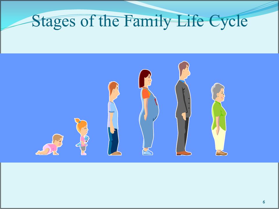 family life cycle