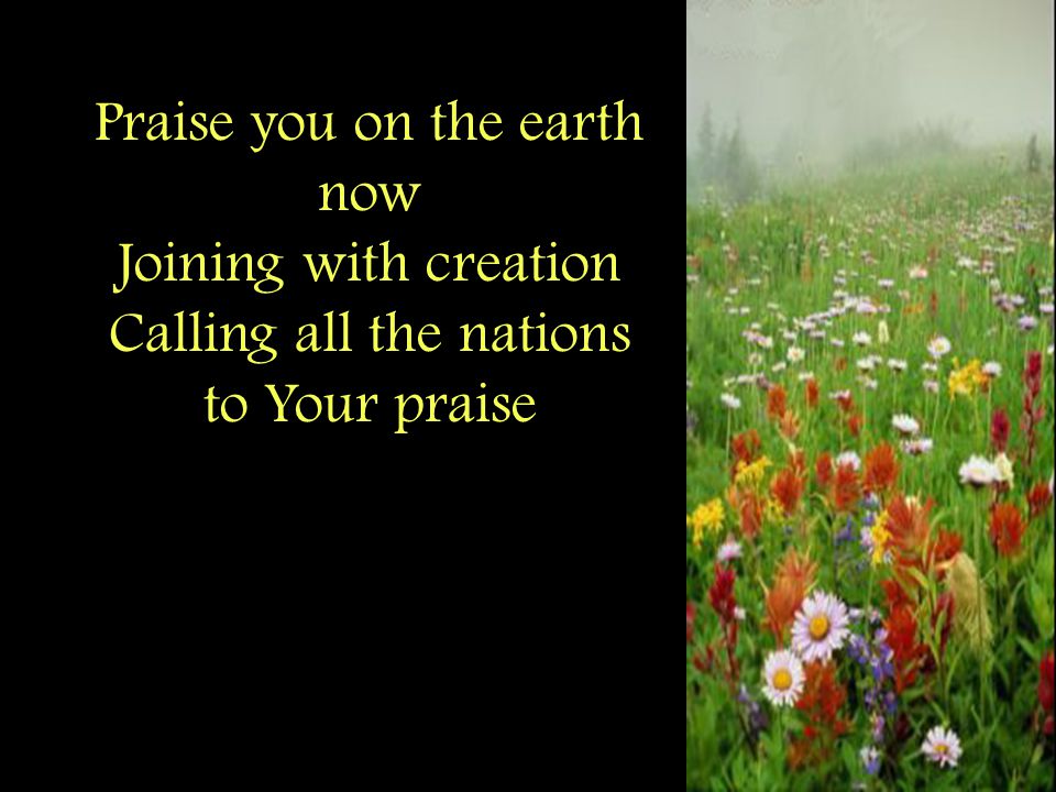 Praise you on the earth now Joining with creation Calling all the nations to Your praise