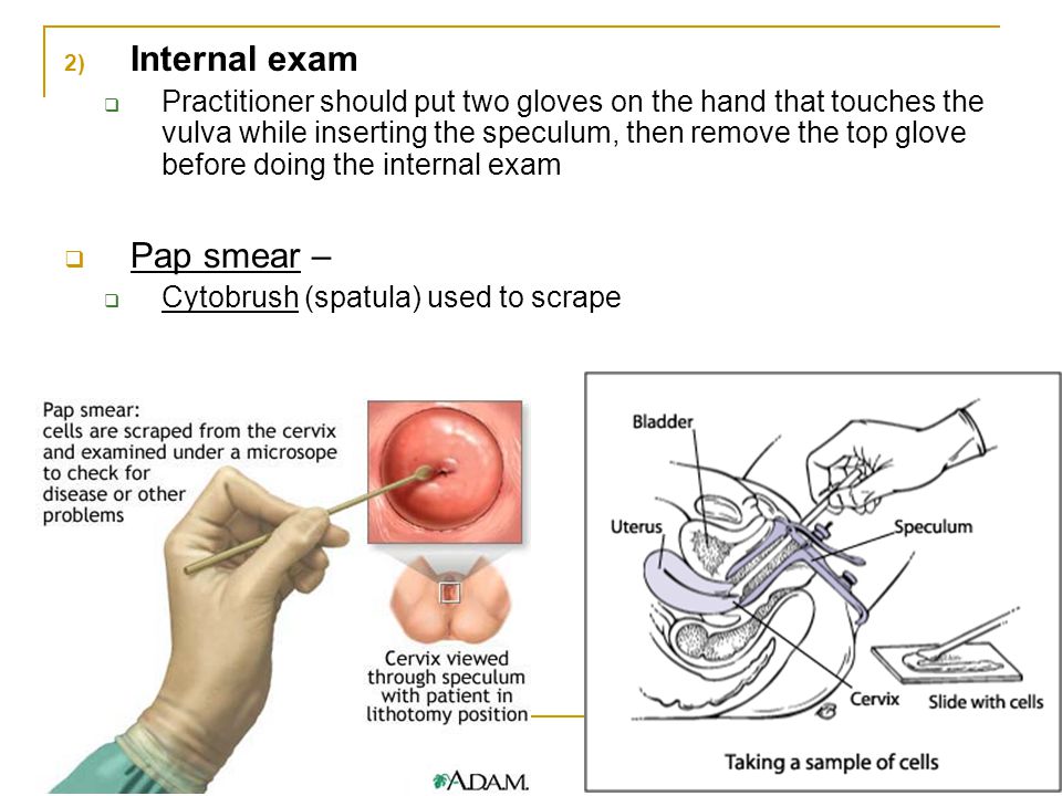 Clomid And Cervical Position