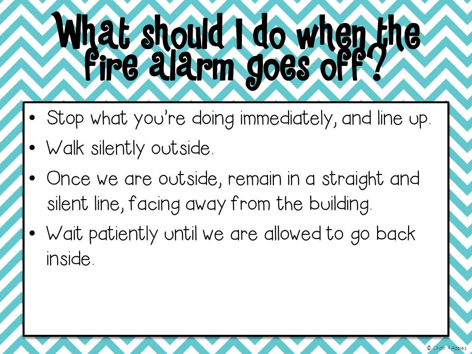 What should I do when the fire alarm goes off. Stop what you’re doing immediately, and line up.