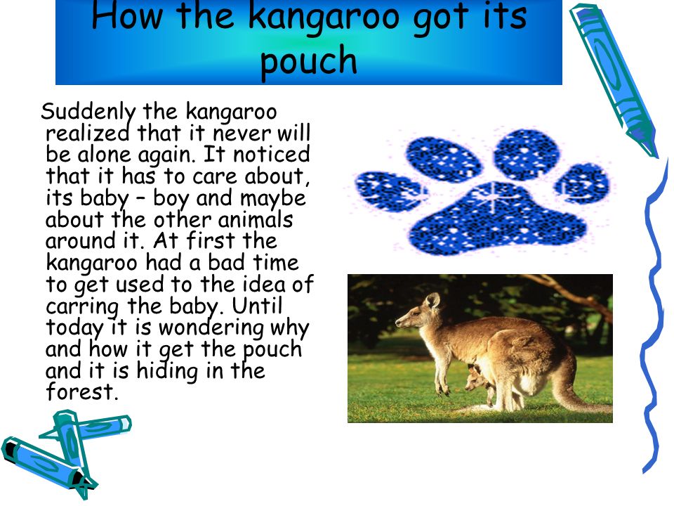How the kangaroo got its pouch Suddenly the kangaroo realized that it never will be alone again.