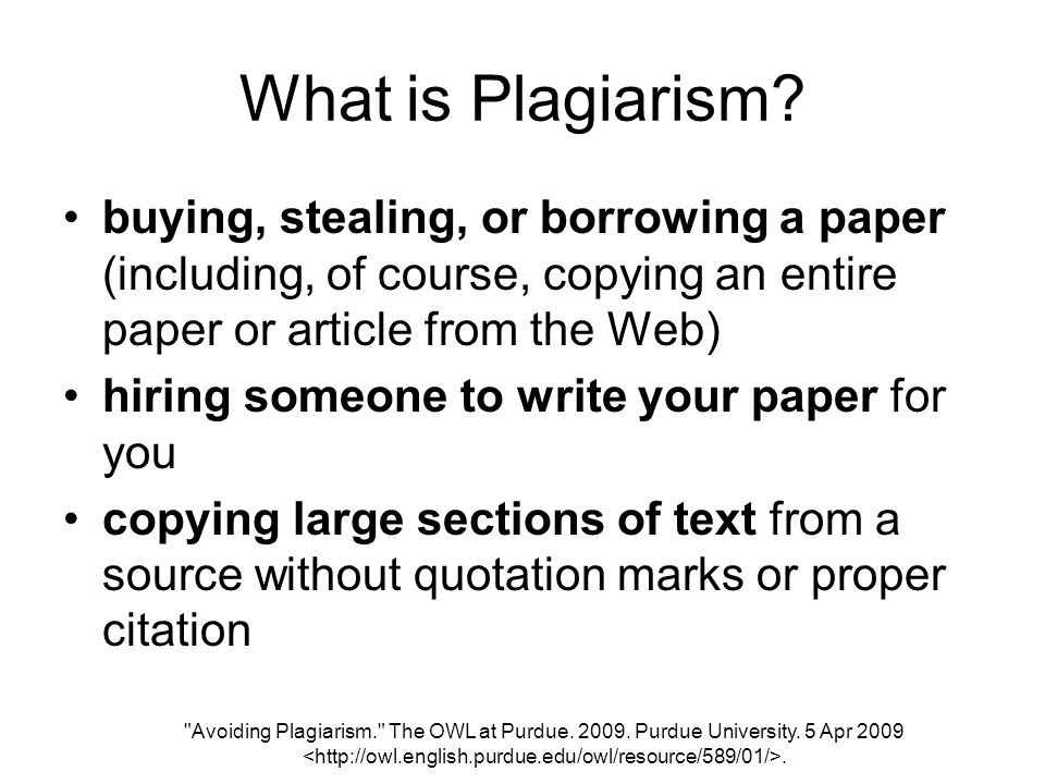 essay for me without plagiarism essay for me without plagiarism