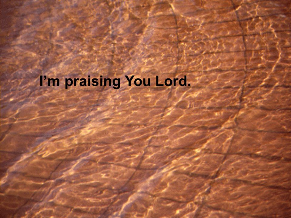 I’m praising You Lord.