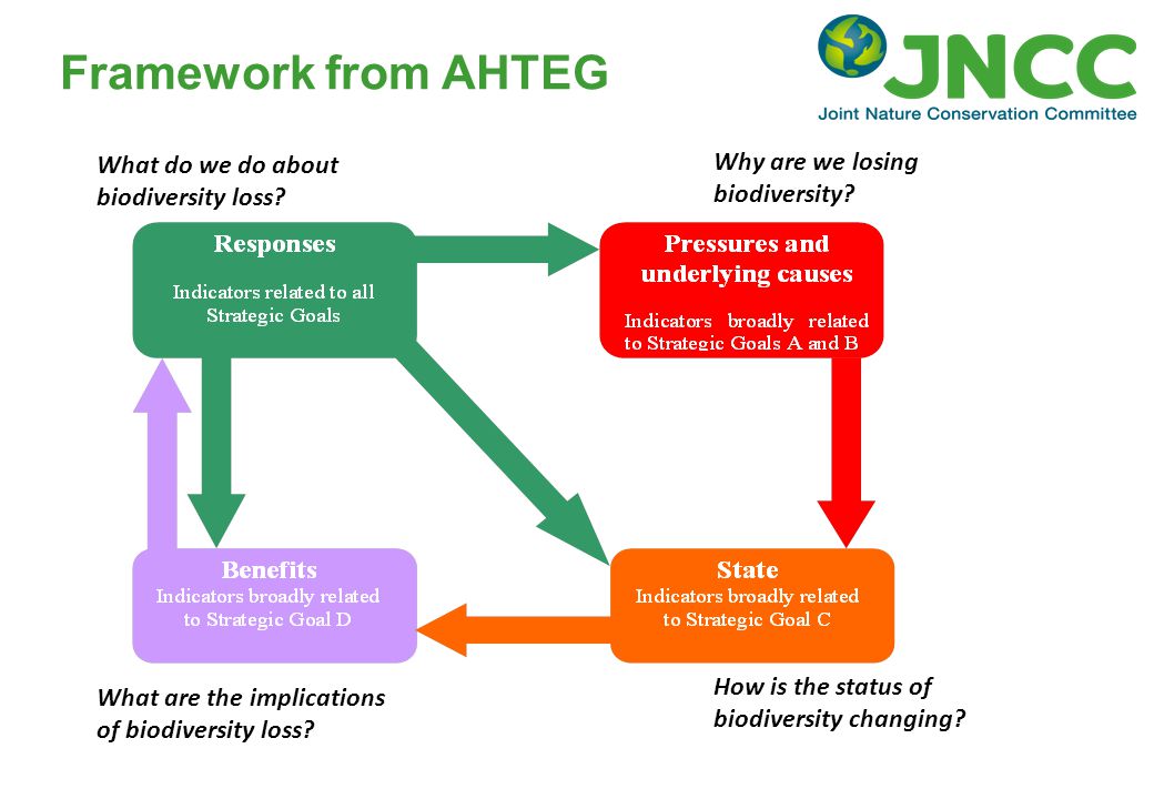 Framework from AHTEG What do we do about biodiversity loss.