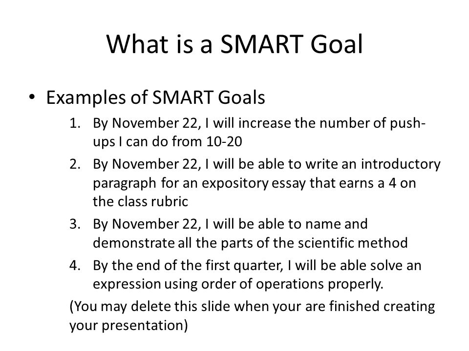 my goal essay