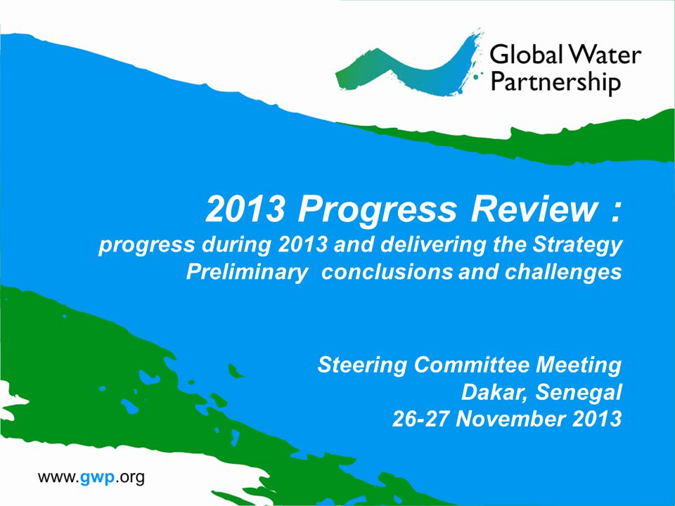 2013 Progress Review : progress during 2013 and delivering the Strategy Preliminary conclusions and challenges Steering Committee Meeting Dakar, Senegal November 2013