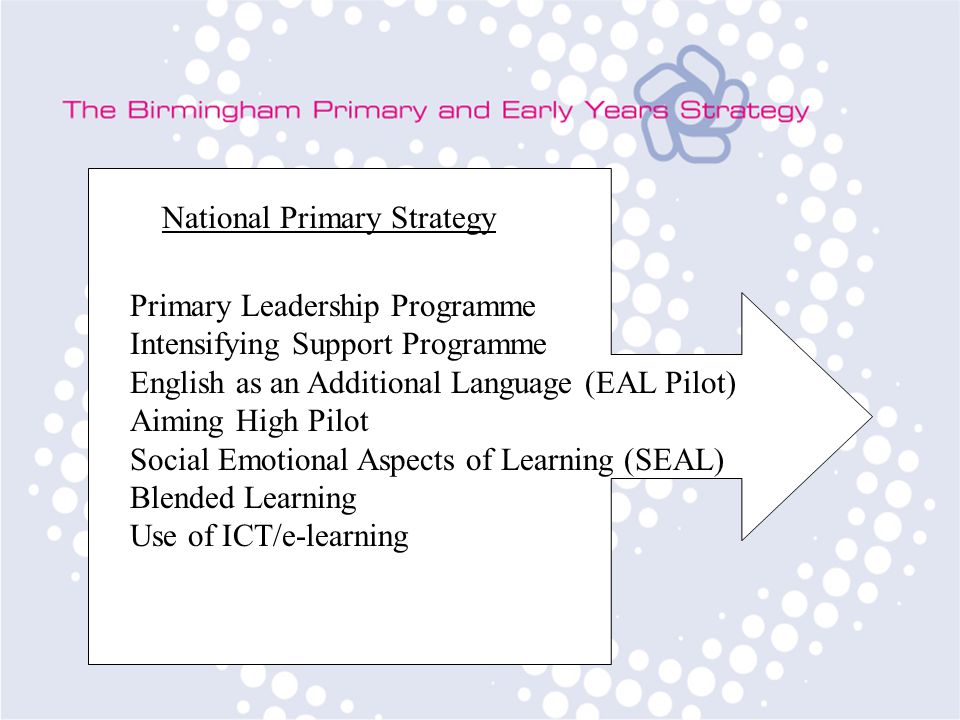 National Primary Strategy Primary Leadership Programme Intensifying Support Programme English as an Additional Language (EAL Pilot) Aiming High Pilot Social Emotional Aspects of Learning (SEAL) Blended Learning Use of ICT/e-learning
