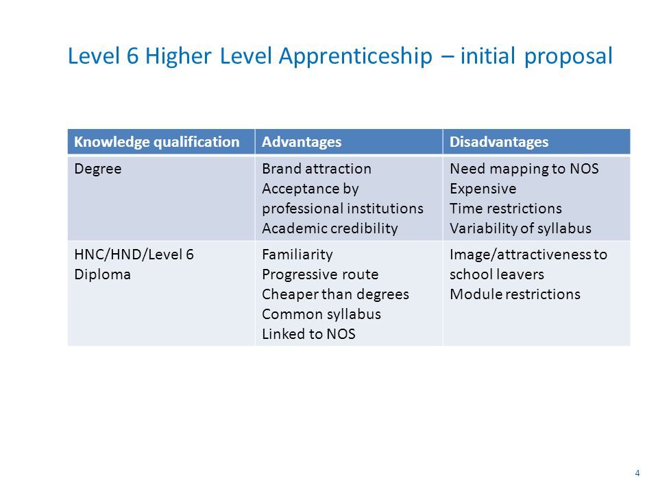 Level 6 Higher Level Apprenticeship – initial proposal Knowledge qualificationAdvantagesDisadvantages DegreeBrand attraction Acceptance by professional institutions Academic credibility Need mapping to NOS Expensive Time restrictions Variability of syllabus HNC/HND/Level 6 Diploma Familiarity Progressive route Cheaper than degrees Common syllabus Linked to NOS Image/attractiveness to school leavers Module restrictions 4