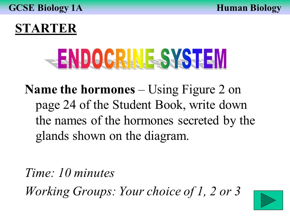 Example Of Essay Writing In English