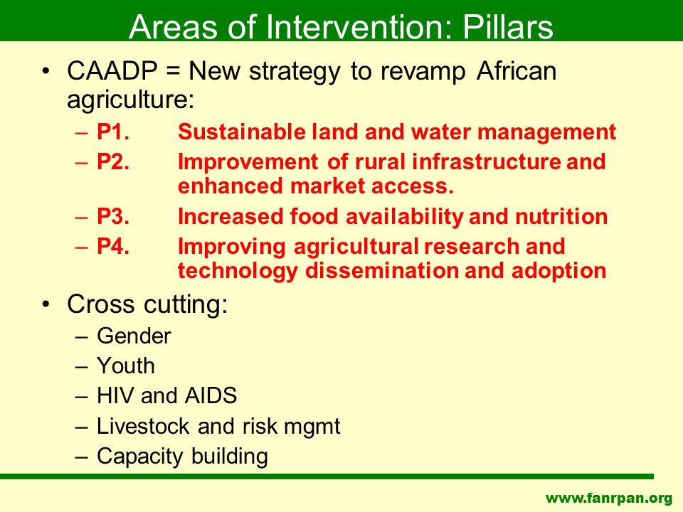 Areas of Intervention: Pillars CAADP = New strategy to revamp African agriculture: –P1.