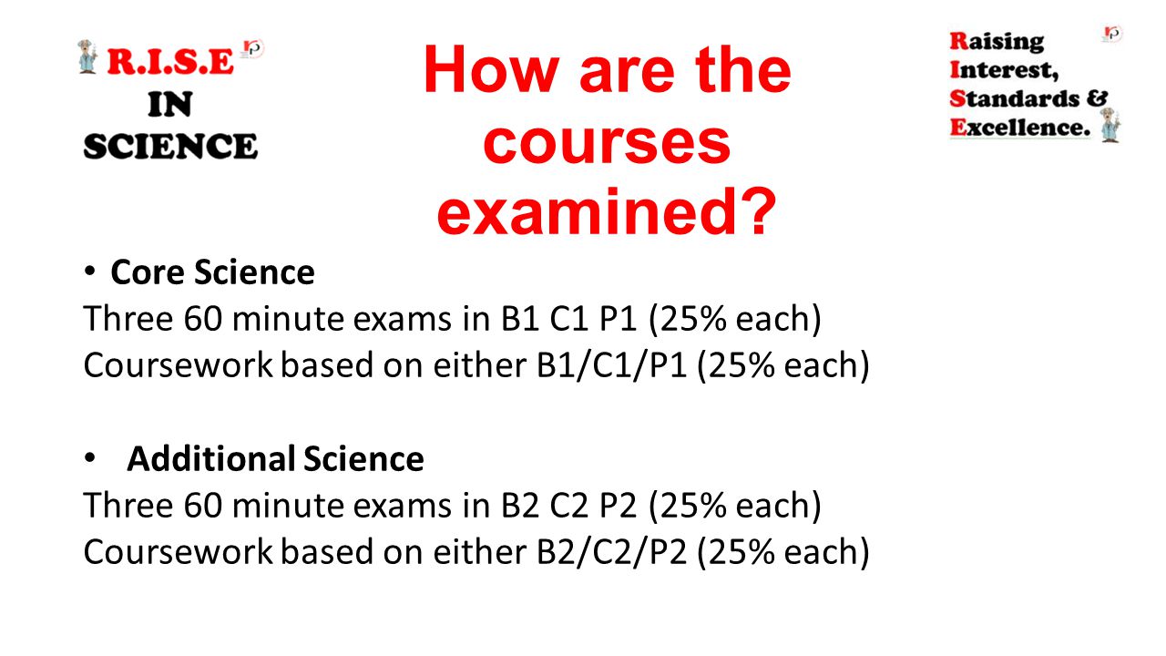 How are the courses examined.