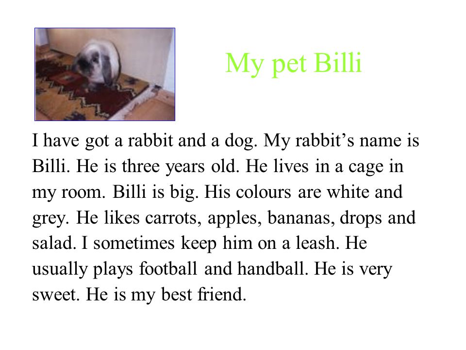I have got a rabbit and a dog. My rabbit’s name is Billi.