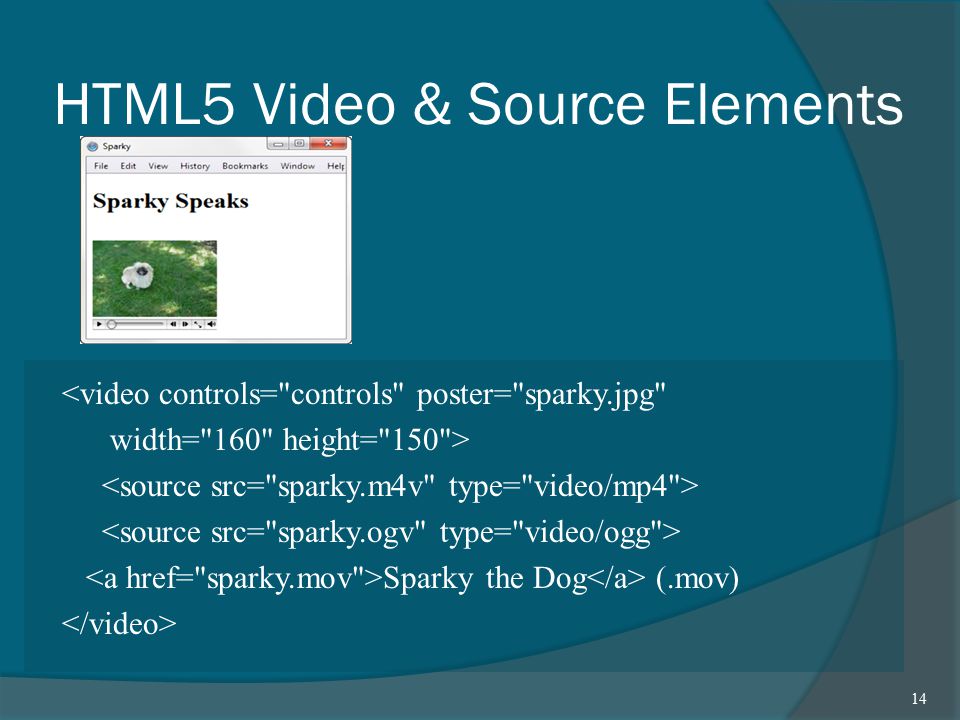 HTML5 Video & Source Elements <video controls= controls poster= sparky.jpg width= 160 height= 150 > Sparky the Dog (.mov) 14
