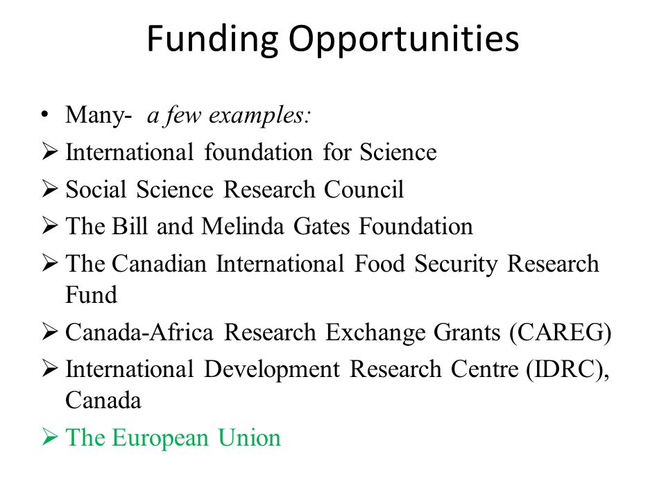 Funding Opportunities Many- a few examples:  International foundation for Science  Social Science Research Council  The Bill and Melinda Gates Foundation  The Canadian International Food Security Research Fund  Canada-Africa Research Exchange Grants (CAREG)  International Development Research Centre (IDRC), Canada  The European Union
