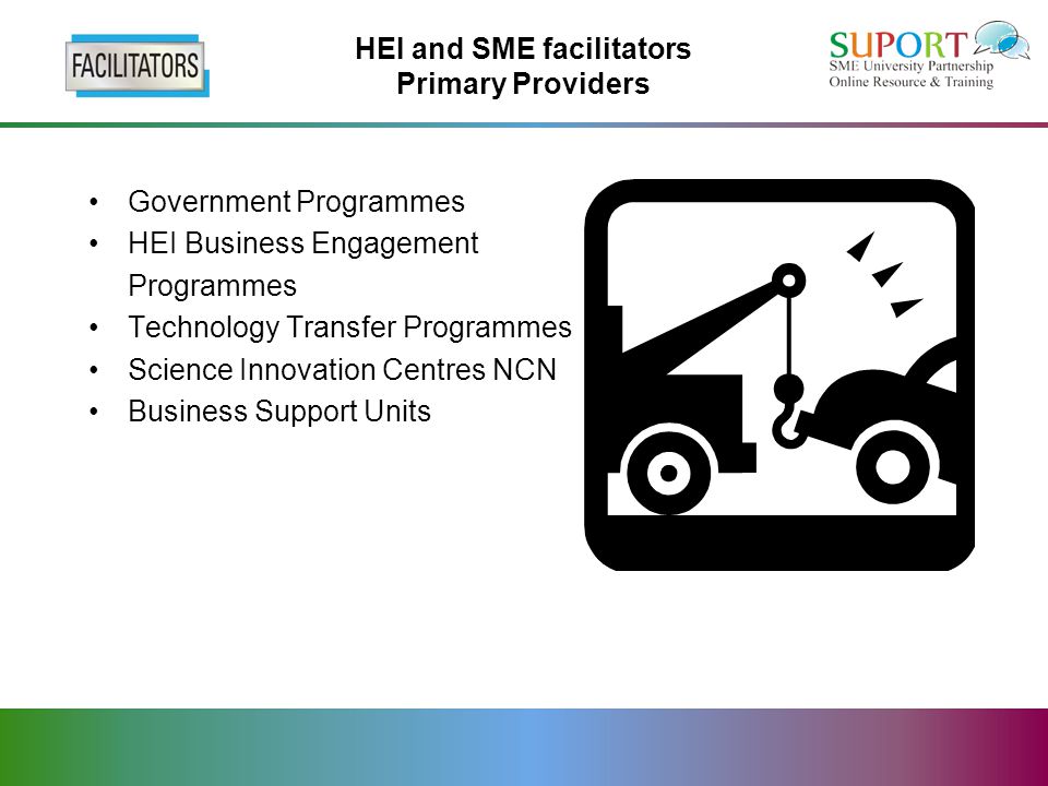 HEI and SME facilitators Primary Providers Government Programmes HEI Business Engagement Programmes Technology Transfer Programmes Science Innovation Centres NCN Business Support Units