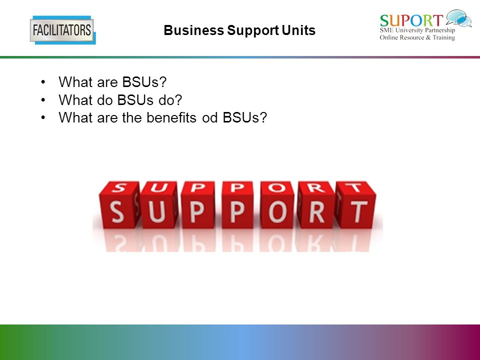 Business Support Units What are BSUs What do BSUs do What are the benefits od BSUs