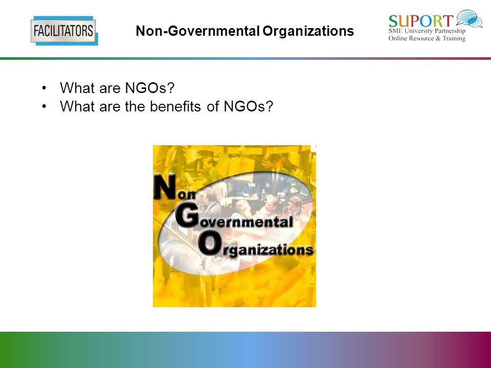 Non-Governmental Organizations What are NGOs What are the benefits of NGOs