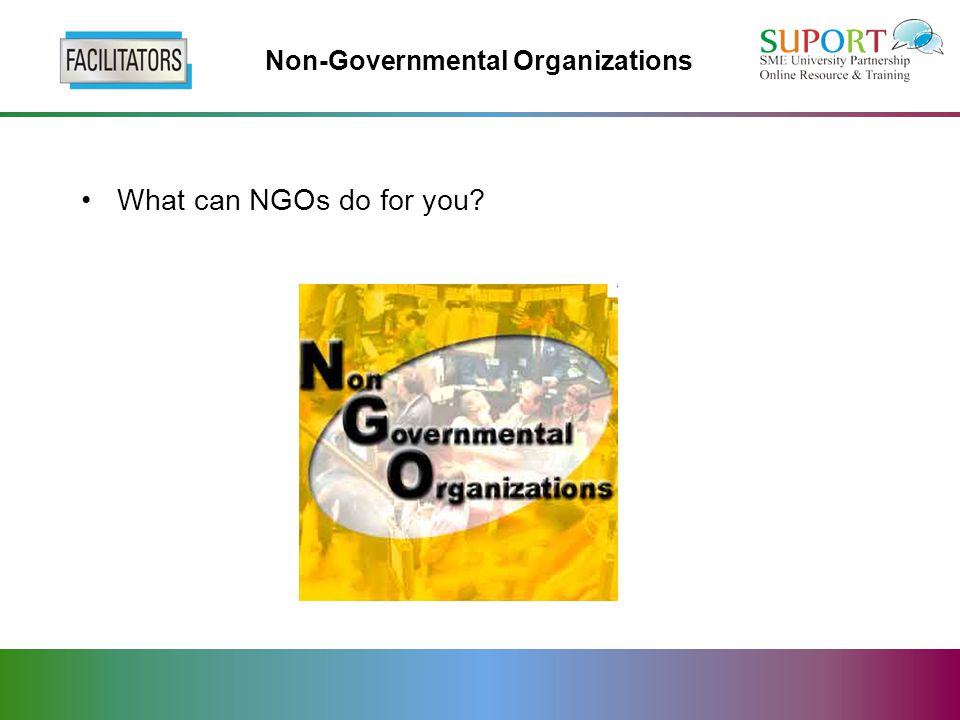 Non-Governmental Organizations What can NGOs do for you