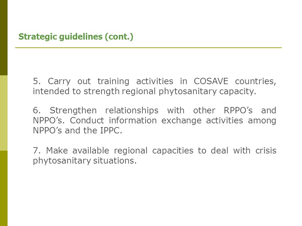 Strategic guidelines (cont.) 5.