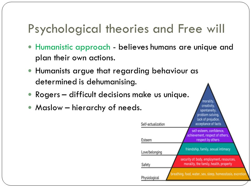 free will and determination essay free will and determination essay